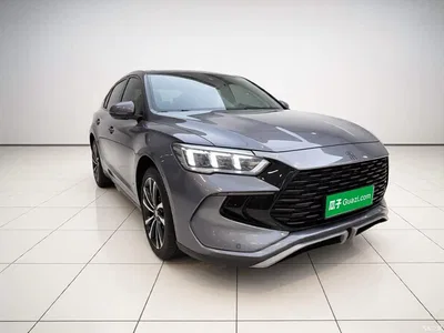 2024 BYD Song Pro New Energy Glory Edition DM-i 71KM Pilot, фото 3, лот 10388199