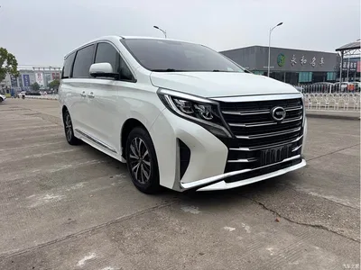 2021 GAC Trumpchi Trumpchi M8 Leading Show Series 390T Prestige Edition, фото 3, лот 11546856