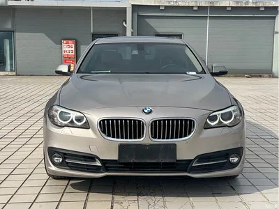 2015 BMW 5 Series (Import) 520i Elegance, фото 2, лот 10474275