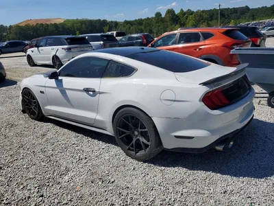 2019 FORD MUSTANG GT, фото 2, лот 10510546