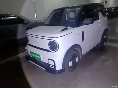 2025 Geely Galaxy Panda Model Year 210km Panda Kart, фото 1, лот 11539772