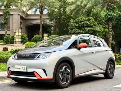 2021 BYD Dolphin Model 405km Fashion Edition, фото 1, лот 10255061