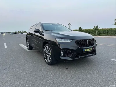 2017 WEY VV7 2.0T Flagship, фото 3, лот 10999386