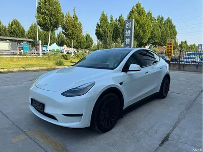 2022 Tesla Model Y Facelift Long Range All-Wheel Drive Version, фото 1, лот 11067968
