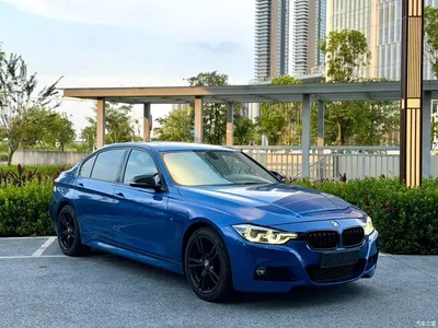 2017 BMW 3 Series 320Li M Sport, фото 3, лот 11579862