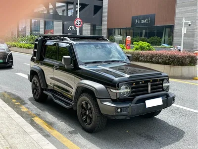 2021 Tank 300 Off-road Version 2.0T Conqueror, фото 4, лот 10344367