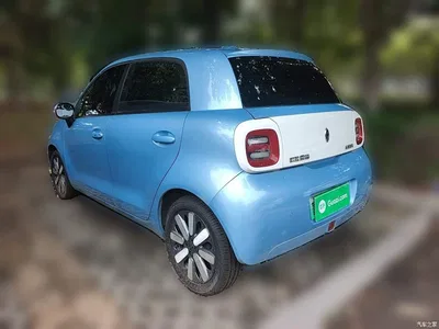 2021 Ora Black Cat 351km Standard Model, фото 4, лот 11190325
