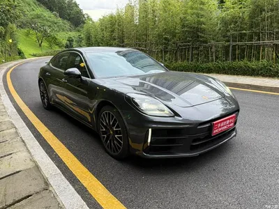 2024 Porsche Panamera Executive Long Wheelbase 2.9T, фото 3, лот 10989234