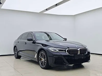 2023 BMW 5 Series 530Li Leading M Sport Package, фото 3, лот 11222788