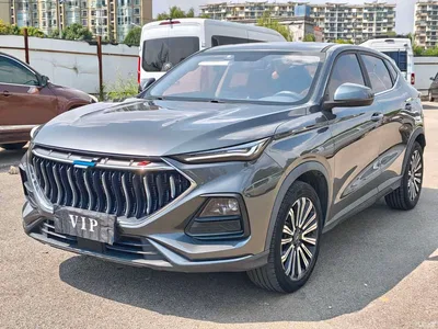 2021 Changan Oshan Changan Oushang X5 1.5T DCT Premium, фото 1, лот 11163505