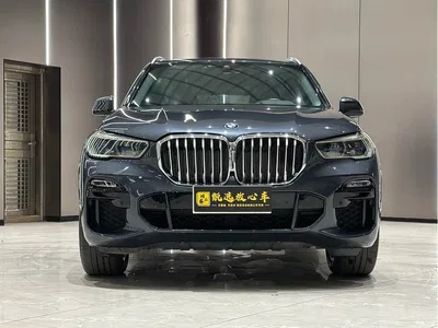 2020 BMW X5 (Import) xDrive30i M Sport Package, фото 2, лот 10463658