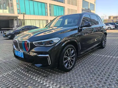 2022 BMW X5 Facelift xDrive 30Li Premium M Sport Package, фото 3, лот 10463076