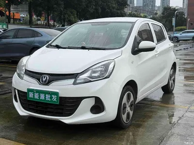 2021 Changan Benben E-Star National Edition Heartjoy LFP (31.95kWh), фото 1, лот 10249881