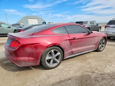 2017 FORD MUSTANG, фото 3, лот 10502520