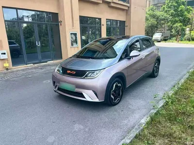 2021 BYD Dolphin Model 405km Fashion Edition, фото 2, лот 10263989