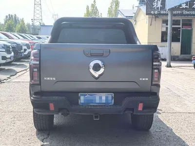 2023 Great Wall Pao 2.0T Off-Road Edition Automatic Gasoline 4WD Everest Edition, фото 3, лот 10408020