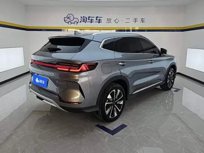 2025 BYD Song PLUS PHEV DM-i 112KM Premium, фото 3, лот 10662998