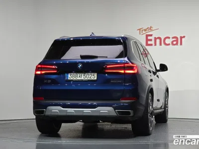 2021 BMW X5 xDrive 40i xLine, фото 3, лот 10076310