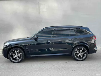 2025 BMW X5 Model xDrive 30Li Exclusive M Sport Blackout Package, фото 4, лот 11225460