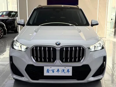 2023 BMW X1 xDrive25Li M Sport Package, фото 2, лот 10434616