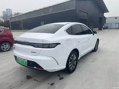 2024 BYD Destroyer 05 Glory Edition DM-i 55KM Luxury, фото 4, лот 10255481