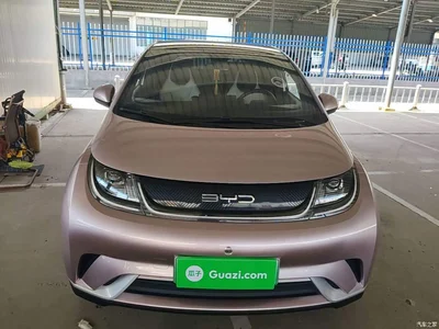 2021 BYD Dolphin Model 405km Fashion Edition, фото 3, лот 10264167