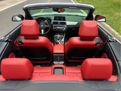 2019 BMW 2 Series (Import) 225i Convertible Coupe Exclusive M Sport Package, фото 4, лот 10471331