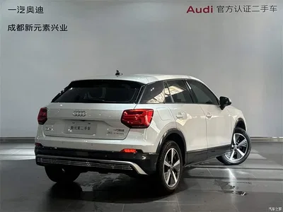 2019 Audi Q2L e-tron Pure Electric Smart Cool Edition, фото 4, лот 10579977