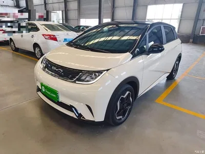 2021 BYD Dolphin Model 405km Fashion Edition, фото 2, лот 10263712