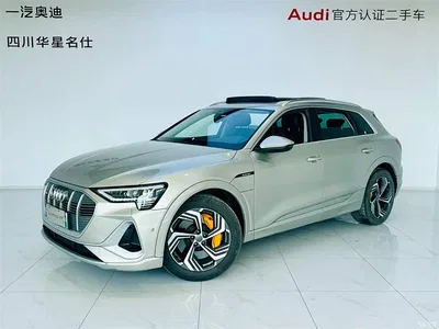 2021 Audi e-tron 50 quattro Exclusive Selection, фото 1, лот 10235664