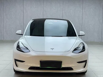 2022 Tesla Model 3 Model Rear-Wheel Drive Version, фото 2, лот 11195186