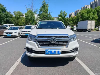 2019 Dongfeng Rich 6 2.4L Manual 2WD Gasoline Luxury 2TZD, фото 2, лот 10957857
