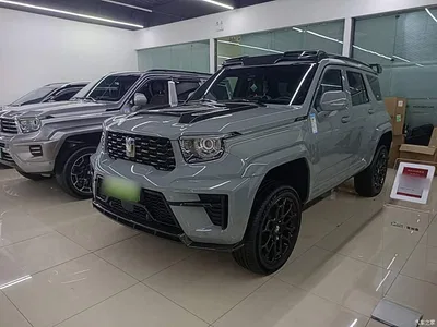 2024 Tank 700 New Energy Hi4-T Launch Limited Edition, фото 1, лот 10345388