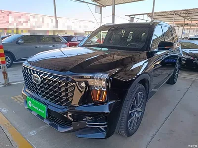 2025 GAC Trumpchi Trumpchi GS8 Pilot Series 2.0TGDI AWD Luxury Edition 5-Seater, фото 1, лот 11564615