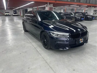 2020 BMW 5 Series 530Li Leading M Sport Package, фото 3, лот 11135953