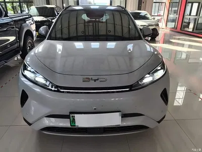 2025 BYD Hai Shi 05 EV 520KM Smart Navigation Edition, фото 3, лот 10476129