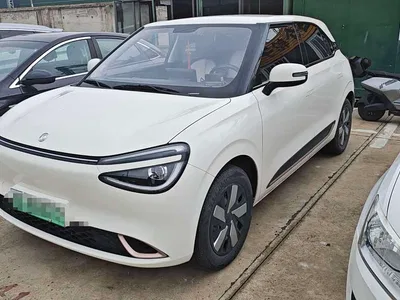 2024 Dongfeng Yipai Nano 01 Renewal Edition 330 Air, фото 1, лот 11081895