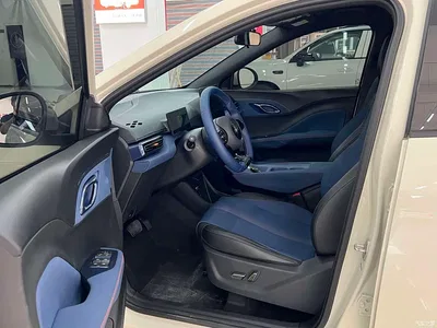 2024 BYD Seagull Glory Edition 305km Freedom Edition, фото 4, лот 10246742