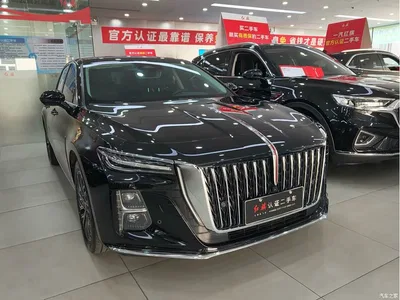 2024 Hongqi H5 2.0T Automatic Smart Connect Flag Smooth Edition, фото 3, лот 10415641