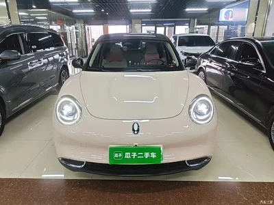 2021 Ora Good Cat 400km Standard Range Official Version (LFP), фото 3, лот 10386885