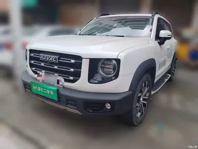 2021 Haval Big Dog 1.5T DCT 2WD Border Collie Edition, фото 1, лот 11502843