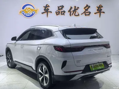 2021 BYD Song PLUS PHEV DM-i 110KM Flagship, фото 3, лот 10274993