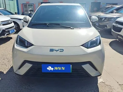 2024 BYD Seagull Glory Edition 305km Freedom Edition, фото 2, лот 10479203