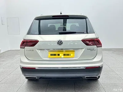 2019 Volkswagen Tiguan L 380TSI Automatic 4WD Intelligent Luxury 7-seater China VI, фото 4, лот 10417030
