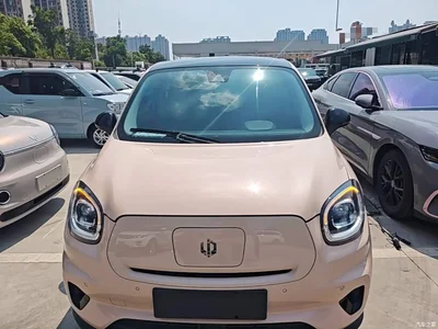 2021 Leapmotor T03 400 Luxury Edition, фото 3, лот 10390812