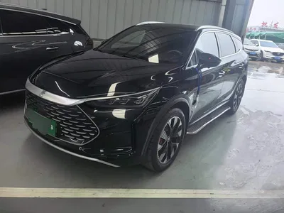 2024 BYD Tang New Energy DM-p Champion Edition 215KM 4WD Premium, фото 1, лот 10272775