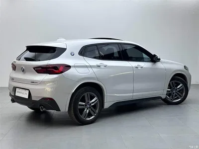 2022 BMW X2 sDrive25i M Sport Package, фото 4, лот 10410687