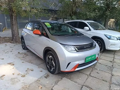 2021 BYD Dolphin 405km Freedom Edition, фото 4, лот 10615956