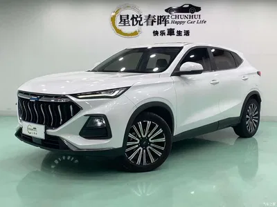 2021 Changan Oshan Changan Oushang X5 1.5T DCT Luxury, фото 1, лот 11163510