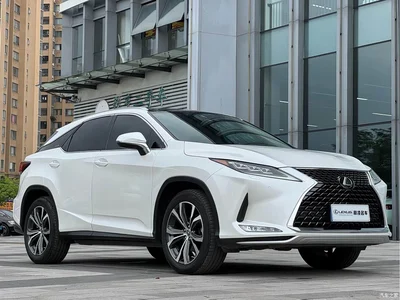 2020 Lexus RX 300 AWD Elegance Edition China V, фото 3, лот 10317645